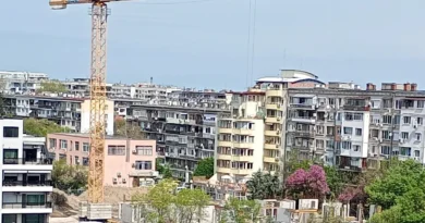 кючука бетон джунгла