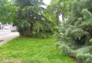 зелени площи Кючука парк градинки