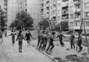 живот кючука деца игра