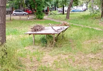 Кадър от Кючука тенис маса