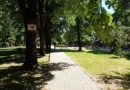 парк Белите брези Кючук Париж
