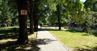 парк Белите брези Кючук Париж