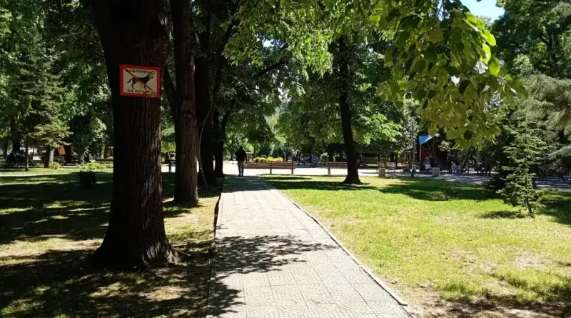парк Белите брези Кючук Париж
