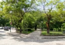 Театър в парк Студенец и Белите брези