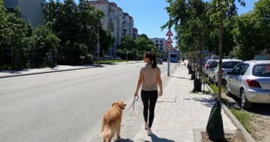 Говори Кючука мнения за Кючука