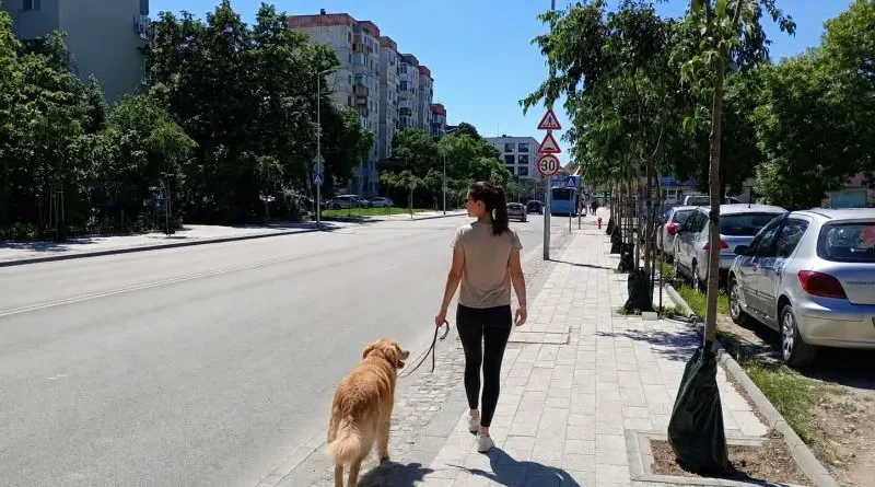 Говори Кючука мнения за Кючука