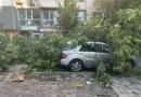 Сигнал от Кючука: Дърво смачка колата ми, улицата е запушена, а реакция няма