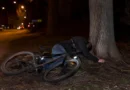 Пиян велосипедист се блъсна в дърво