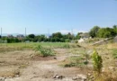 стадион Тодор Диев