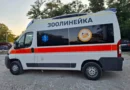 Хубави инициативи в Пловдив – зоолинейка и такси за домашни любимци